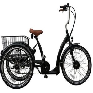 Triciclo eléctrico Ebici